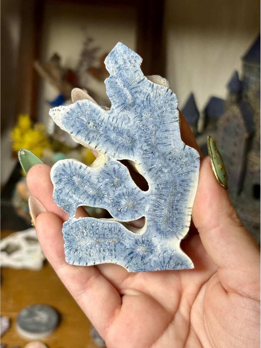 Natural Blue Coral Skeleton Specimen | Polished Piece, Coastal Decor